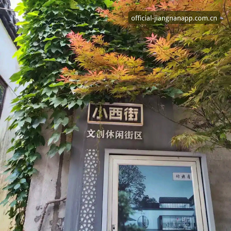 江南app iOS版真的值得装吗？从下载到实测的完整操作教程